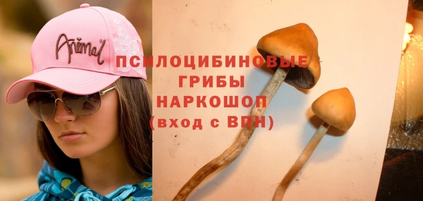 бутик Аркадак