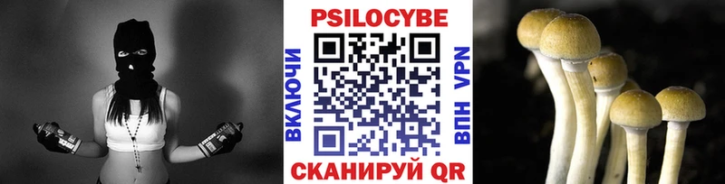 Псилоцибиновые грибы Magic Shrooms  Гуково 
