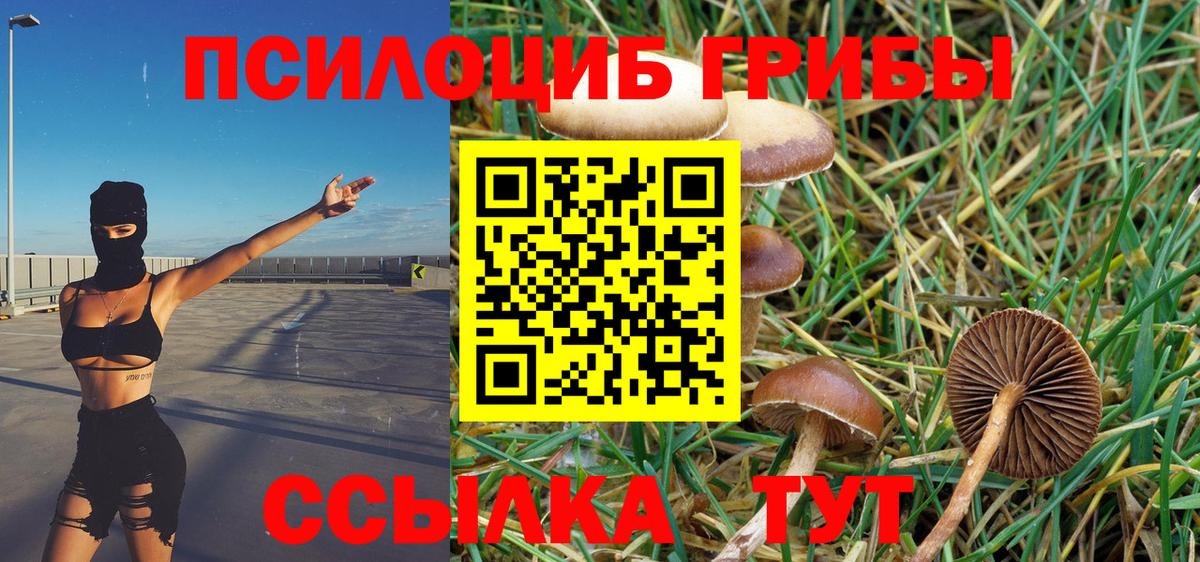 Псилоцибиновые грибы GOLDEN TEACHER  Вход с VPN  Гуково  сколько стоит  Галлюциногенные грибы ЛСД 